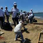 LISTÍN DIARIO lleva a cabo jornada de limpieza de playa de Montesino