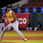 Jorge Tavárez gana su primer juego en Lidom y las Águilas derrotan a los Gigantes