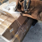 Aseguran en Aeropuerto de México un kilo de fentanilo con valor de 20 millones de dólares