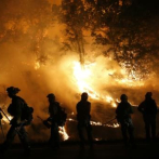 Polución por incendios forestales mató a 52.000 personas en California en una década, según estudio