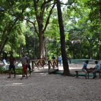 Las Barías, el bosque urbano del Sur