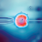 Científicos crean embriones humanos sintéticos con células madre sin óvulos ni esperma