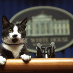 Hay una vacante en la casa blanca: la mascota presidencial
