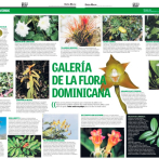 Galería de la flora dominicana