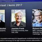 Tres investigadores de microscopía biomolecular ganan el Nobel de Química