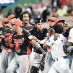 Tigres y Toros bajo lluvia de sanciones de LIDOM