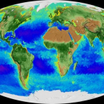 La Tierra en cámara rápida: 20 años en 2½ minutos