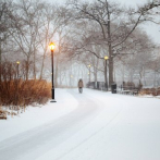 Fuerte nevada castiga a Nueva York y sus alrededores