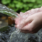 Aplica estos cinco pequeños tips para disminuir el consumo de agua