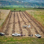 Hallan fosa clandestina con ocho cadáveres en el oeste de México