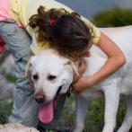 ONG ofrece citas de San Valentín con perros y gatos en Filipinas