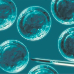 Científicos de EE.UU. avanzan en uso células madre para enfermedades incurables