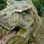 Extrañas huellas de dinosaurios aparecen por docenas en Escocia