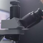 El microscopio de realidad aumentada de Google aplica la inteligencia artificial a la detección del cáncer