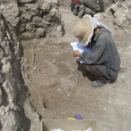 Evidencia arqueológica de domesticación del burro hace 4.700 años