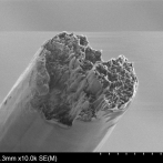 El biomaterial más fuerte del mundo supera al acero y la seda de araña
