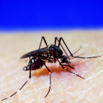 Limitar el calentamiento global podría evitar millones de casos de fiebre del dengue