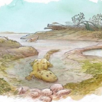 Los primeros seres en tierra firme surgieron de estuarios y deltas