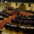 República Dominicana accede por primera vez al Consejo de Seguridad de la ONU