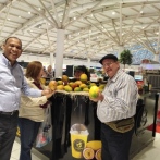 Los aguacates y mangos dominicanos llegan por primera vez a los mercados rusos