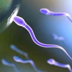 Hombre que donó esperma busca 11 hijos para advertirles sobre enfermedad hereditaria