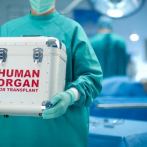 Investigación abre la puerta a regenerar órganos sin necesidad de trasplantes