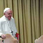 Papa exhorta a los obispos a soñar con un futuro libre de pecados