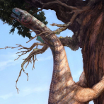 Un fósil de dinosaurio puede explicar cómo se hicieron tan grandes