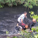 Rescatan manatí en una cañada de Puerto Plata