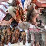 La rata, un manjar en India