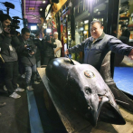 El atún aleta azul que costó 3 millones de dólares