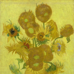 Los girasoles, de Van Gogh, serán restaurados durante las próximas semanas