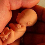 El segundo feto genéticamente modificado en China tiene 12 a 14 semanas