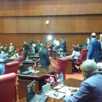Senado conoce proyecto de Ley Régimen Electoral, con la ausencia de Reinaldo y otros 7 legisladores