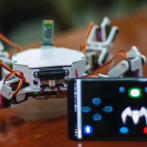 Crean un robot arácnido para la búsqueda y rescate de personas en México