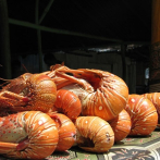 CODOPESCA establece veda para pesca y comercialización langostas y cangrejos