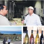 Más de 20,000 litros de vinos de Ocoa entrarán al mercado