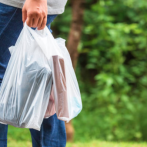 Nueva York, tercer estado en prohibir las bolsas plásticas