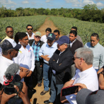 Medina entrega planta a productores de piña en visita a Monte Plata