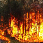Más de cien hombres intentan sofocar fuego en Sierra de Bahoruco