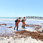 La playa de Boca Chica cuenta con “23 puntos limpios” para evitar basura en la arena y el agua