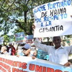 Trabajadores dominicanos marchan por mejores condiciones salariales y otras reivindicaciones