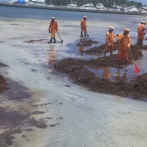 Al menos 200 hombres retiran toneladas de sargazos en playa de Boca Chica
