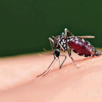 Cruz Roja distribuirá mosquiteros para intentar frenar malaria en Venezuela