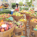 Comienza hoy Feria del Mango en su decimoquinta edición