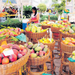 Feria del Mango: Turismo y emprendimiento