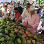 Corea apoyará Clúster del Mango en Baní