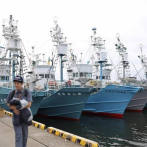 Japón anuncia la captura comercial de ballenas por primera vez en décadas