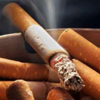 El 60% de las muertes por cáncer está relacionado con el consumo de tabaco