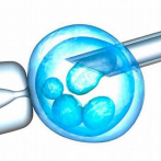 Demandan a una clínica de fertilización de EEUU por confundir embriones